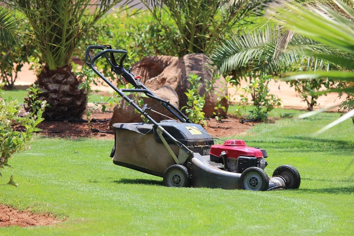 Spring Lawn Care Checklist for British Gardens